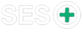 bw ses ai logo